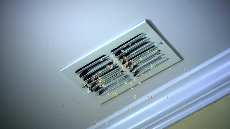 Best Professional Duct Cleaning Services  in New Roads, LA