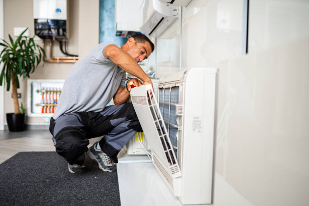 Air Duct Mold Removal in New Roads, LA